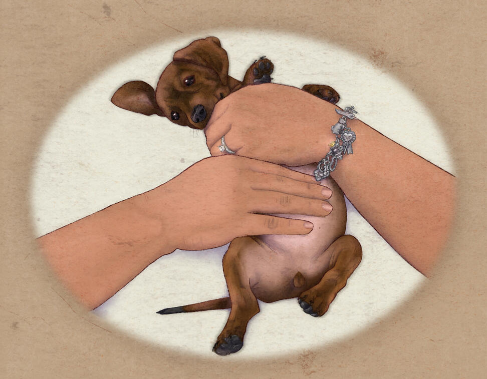 (MAY 2024) A Mother's Loving Hands