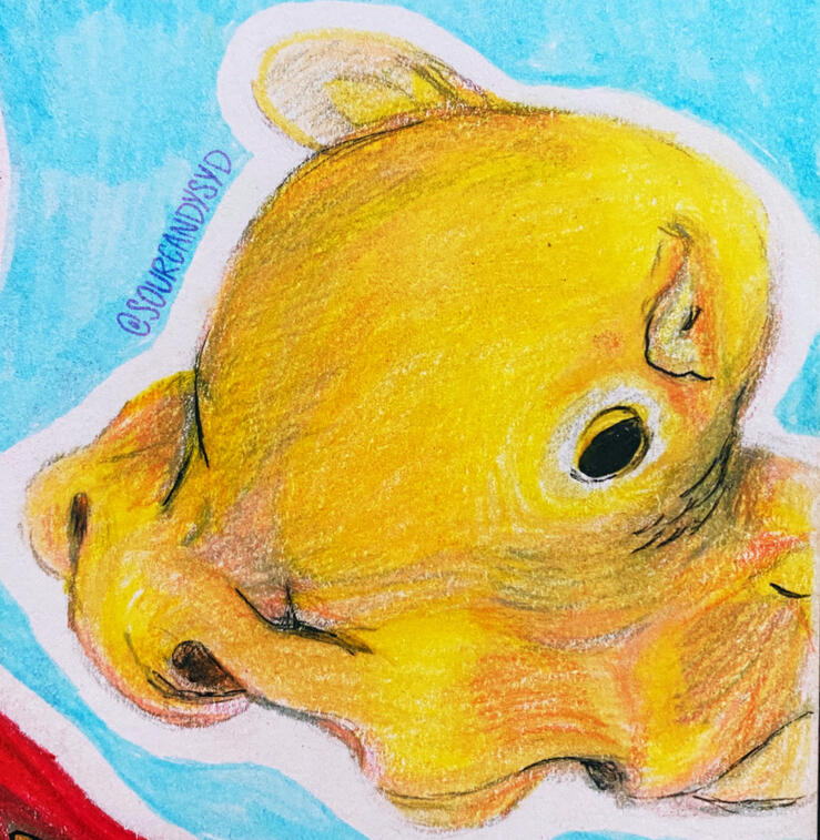 (SEP 2020) Dumbo Octopus